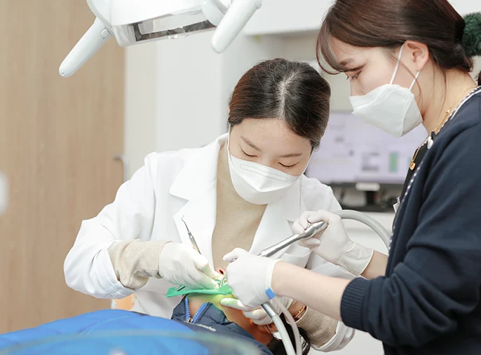 섬세하게 진행되는 진료